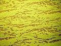 00aa469ffb6436c9100307ebbcc18ed1.JPG