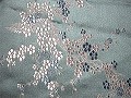 48e612dfd556b26e05a7afedbb86ca54.JPG