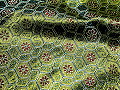 5a06b9746d5ba79b01adcc37dc7ace7b.JPG