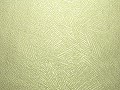 bec5cef59600d66d4f50cd1e9875fdc9.JPG