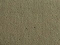 d084d56bcaa8c0ad2ea32eda4185f67d.jpg
